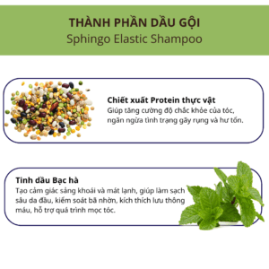 Apferis Sphingo Elastic Shampoo-Dầu gội